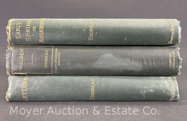 Walden, Early Spring in Massachusetts, and Letters by David Henry Thoreau image