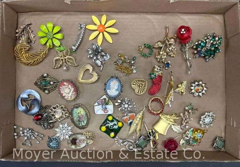 Group of Costume Jewelry Pins and Broaches image