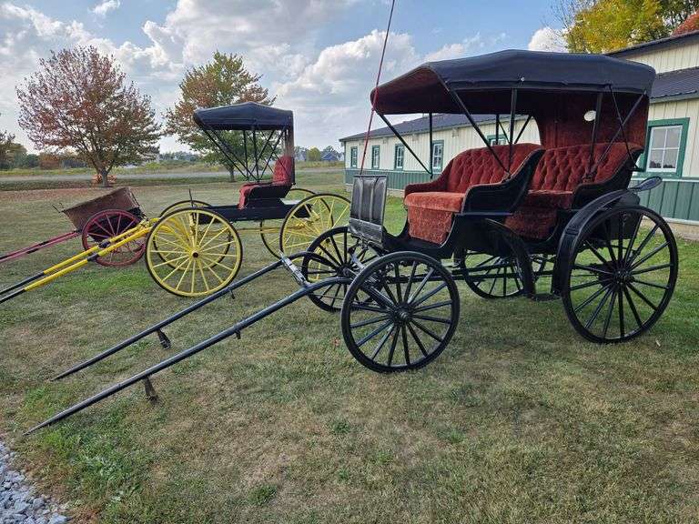 Auto top surrey image