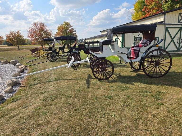 VIS-À-VIS wedding carriage image