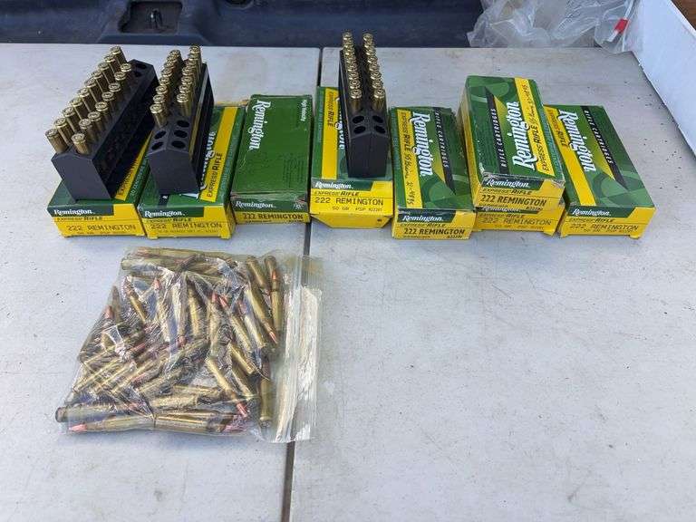 Assorted .222 REM Rounds - some hand loads image