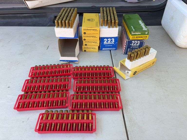 Assorted .223 REM rounds image