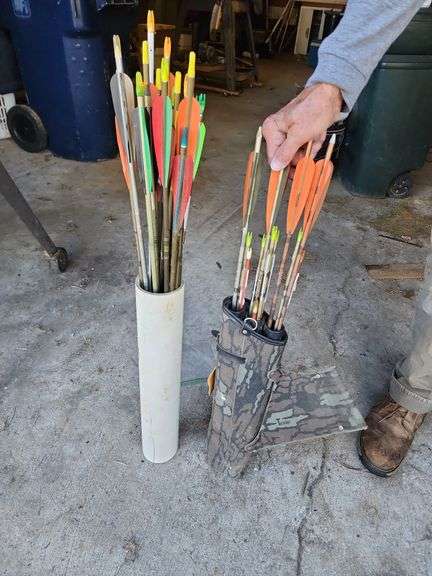 Assorted Arrows image