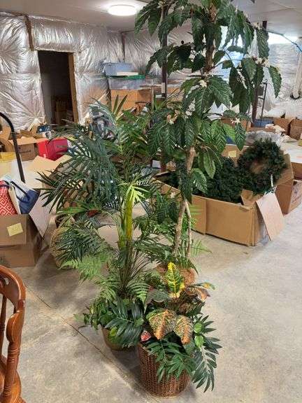 House Plants plastic image