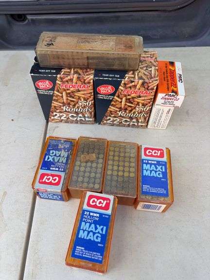 Assorted .22LR & .22 WMR Rounds image