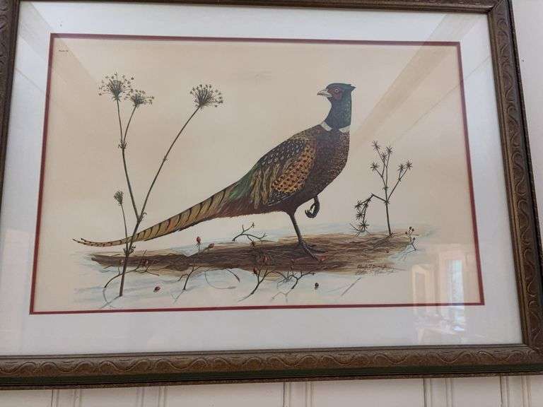 Framed Pheasant Print 38”x28” image