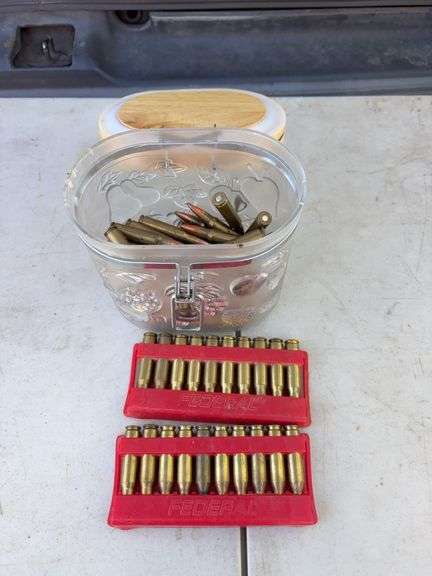 Assorted .308WIN Rounds image