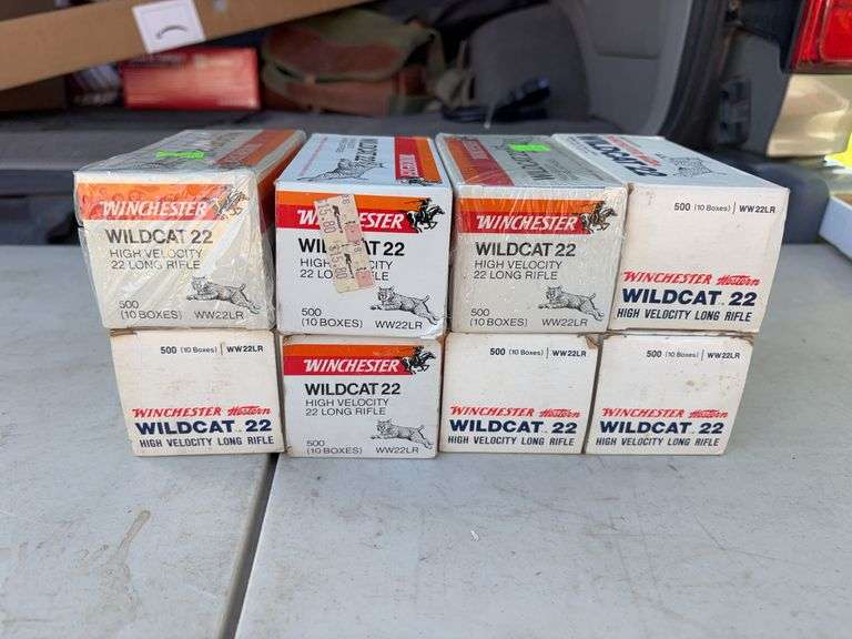 4000 Rounds of Winchester Wildcat .22LR image