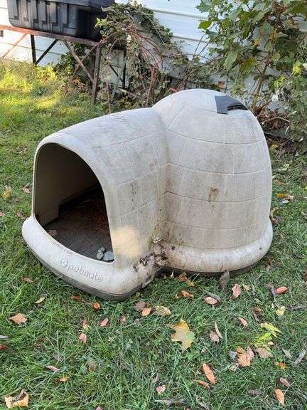 Igloo Dog House image