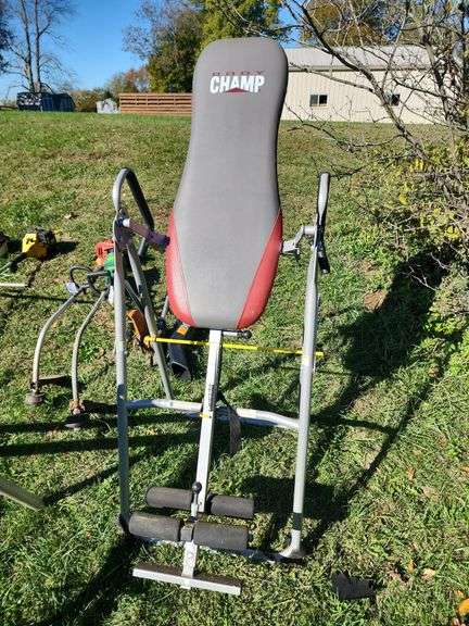 Body Champ Inversion Chair image