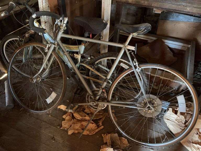 Pair of Bicycles image