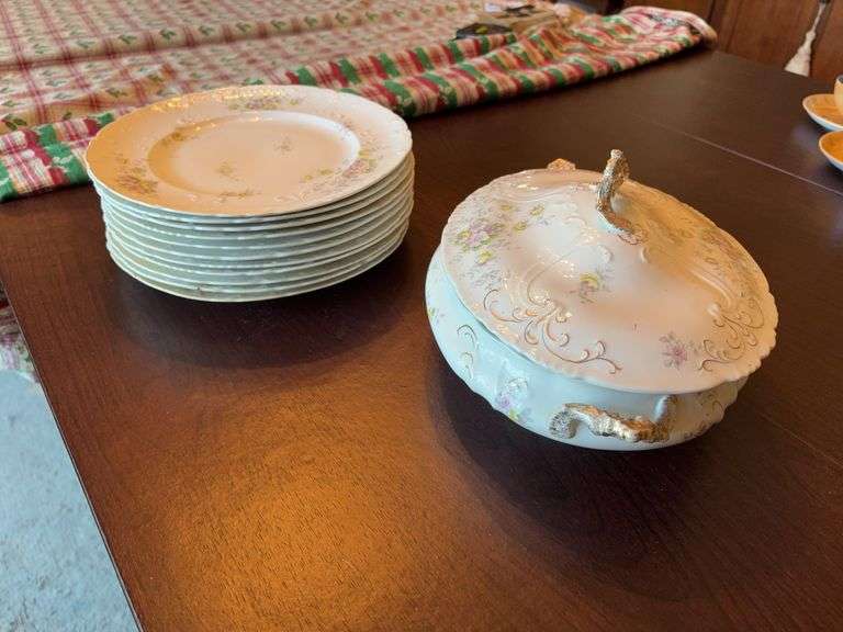 11 Warwick China Plates and Soup Tourine - some chipped image