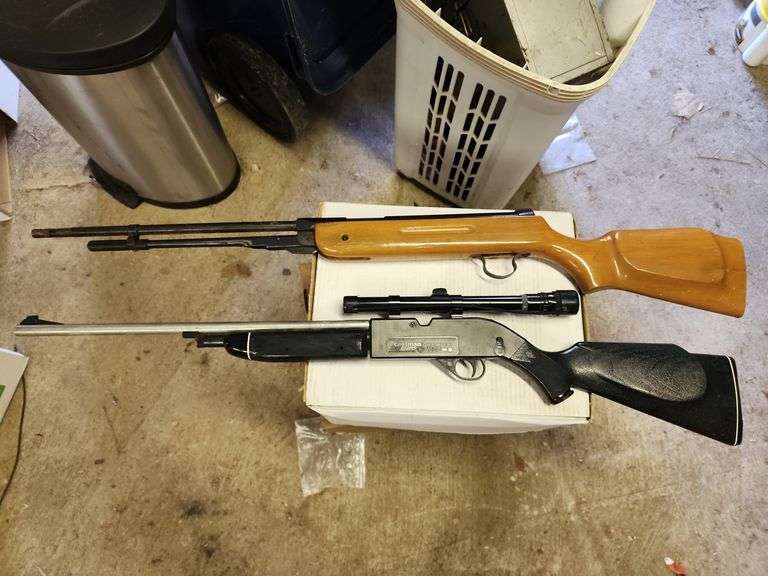 Pellet Gun and BB Gun image