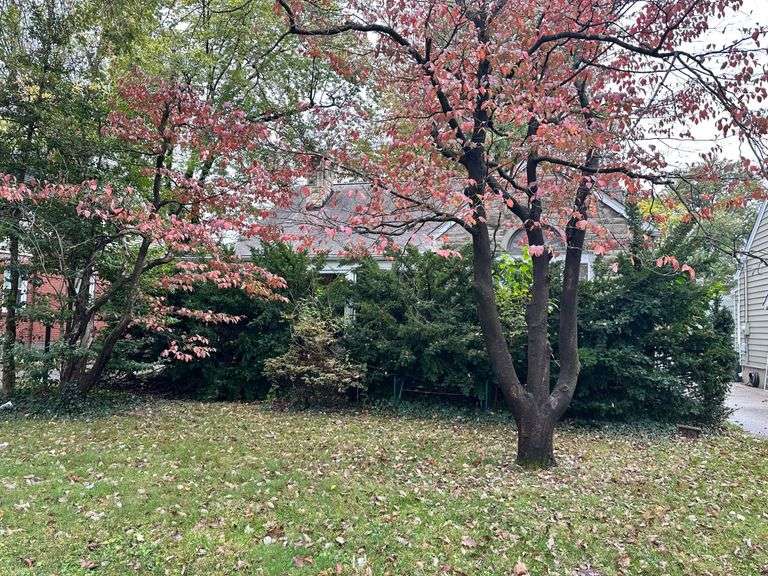 LANGSTON ESTATE, 3BR, 2BA HOME IN GREAT LOCATION LOUISVILLE, KY image