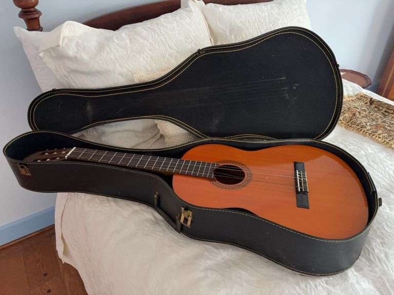Eterna EC-12 Acoustic Guitar with Case image