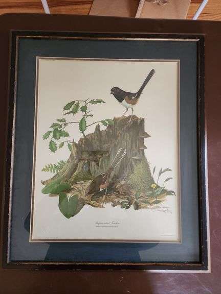 Framed Ray Harm Print - Rufous-sided Towhee image