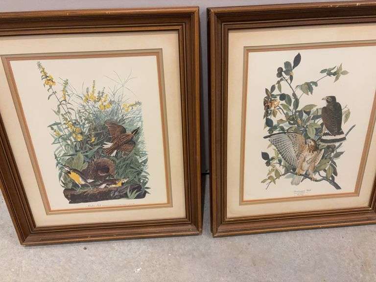 Framed Nature Prints 21”x24” image