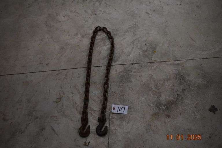 5 ft 3/8" Log Chain image