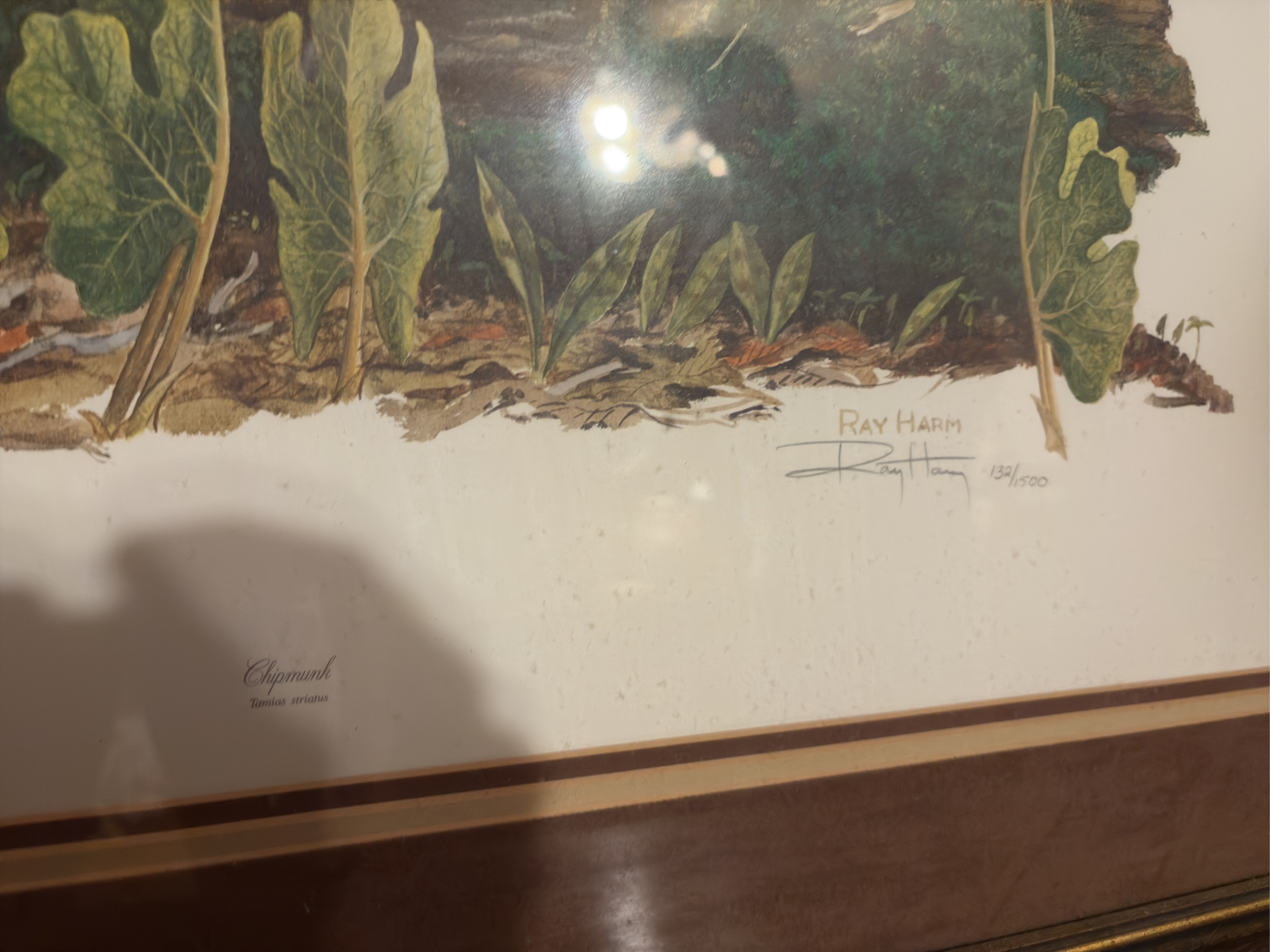 Lot image 3