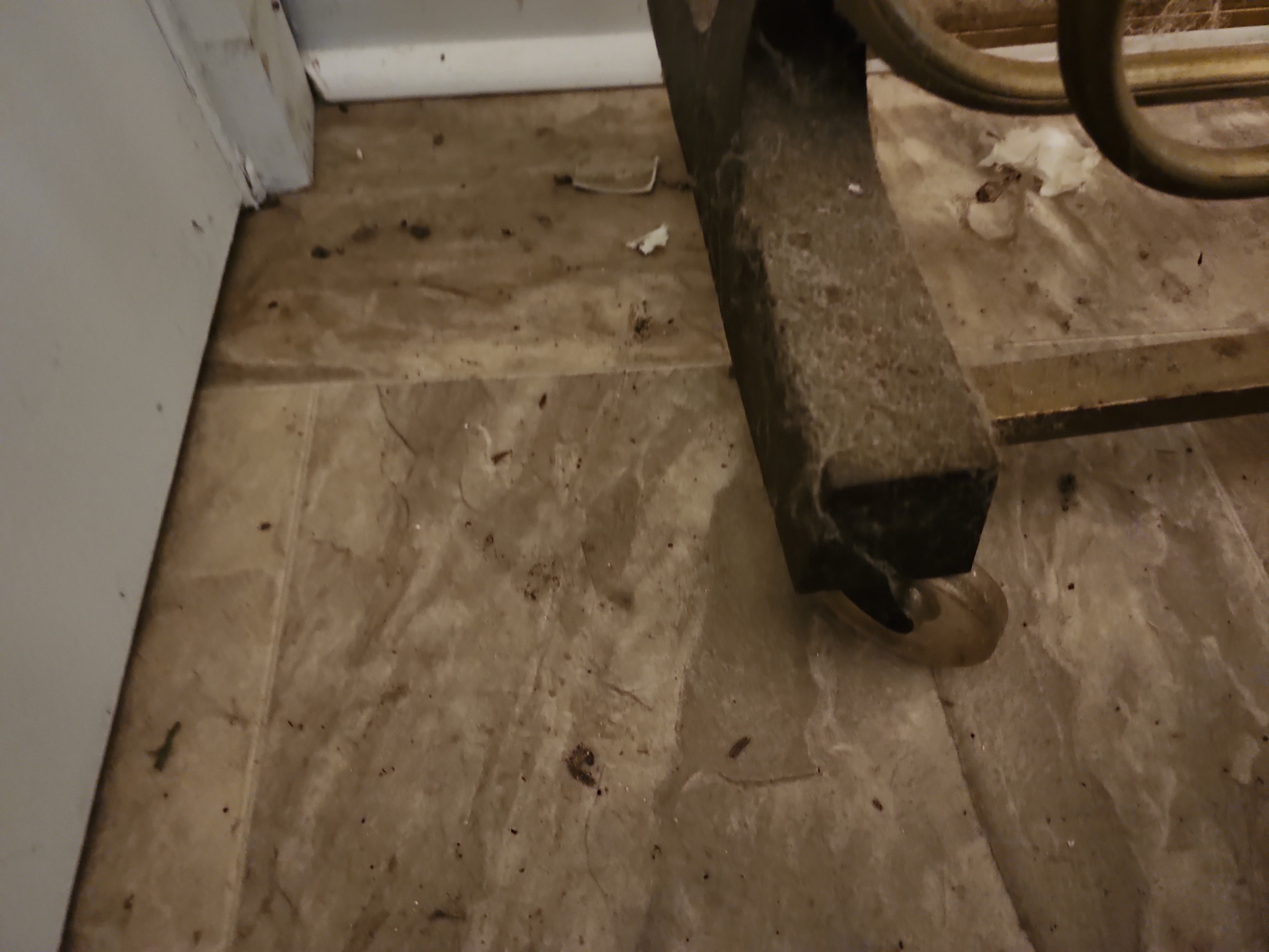 Lot image 4