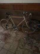 2 bikes