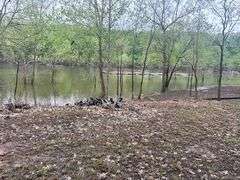 PIERCY ESTATE, .4 ACRE LOT ON ROUGH RIVER, CAMPER SOLD AS IS
