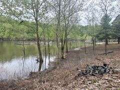 PIERCY ESTATE, .4 ACRE LOT ON ROUGH RIVER, CAMPER SOLD AS IS