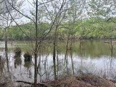 PIERCY ESTATE, .4 ACRE LOT ON ROUGH RIVER, CAMPER SOLD AS IS