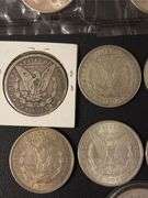 (12) Morgan Silver Dollars - various years