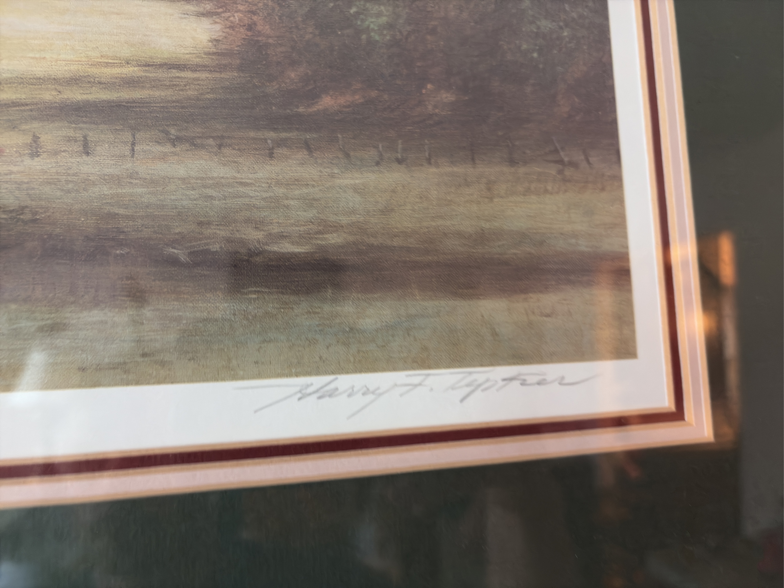 Lot image 4