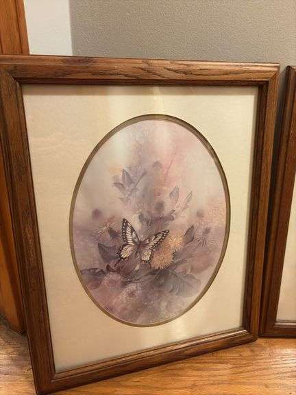Pair of Framed Butterfly Prints