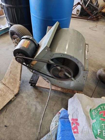 Squirrel Fan image