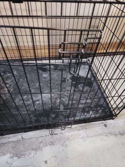 Large Dog Crate 42"x29" and Petmate Pet Taxi Carrier