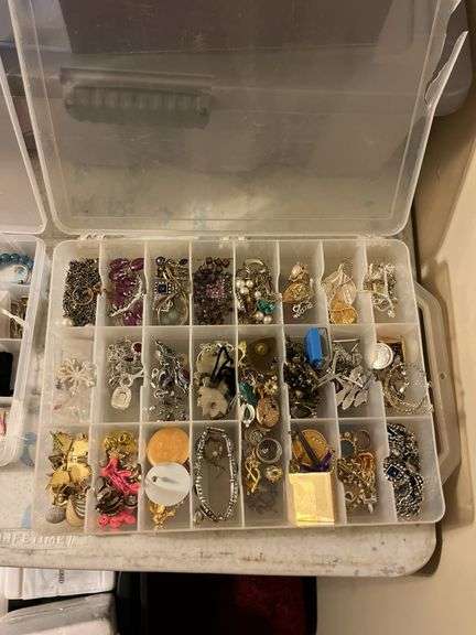 Costume Jewelry in Organizer