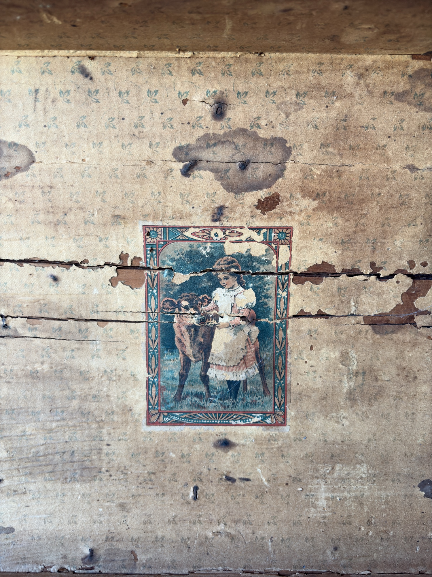 Lot image 4