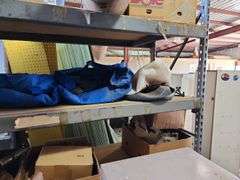 Warehouse Shelving Unit 96"x24"x108" with Contents