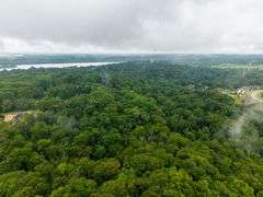 20-acre parcel located in River Bluff development off of the streets of Cherry Tree Drive and Creekview Drive.