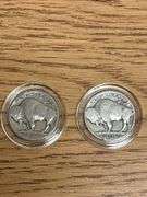(3) Liberty Head V Nickels & (2) Buffalo Nickels