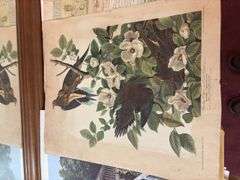 Assortment of Prints - many are water damaged
