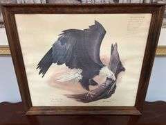 George Patton Bald Eagle By Gene Gray