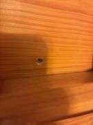 Spice Rack - buyer must remove from wall (screwed in)