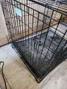 Large Dog Crate 42"x29" and Petmate Pet Taxi Carrier