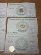 (10) United States Presidential $1 Coins