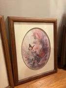 Pair of Framed Butterfly Prints