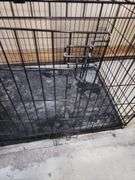 Large Dog Crate 42"x29" and Petmate Pet Taxi Carrier