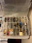 Costume Jewelry in Organizer