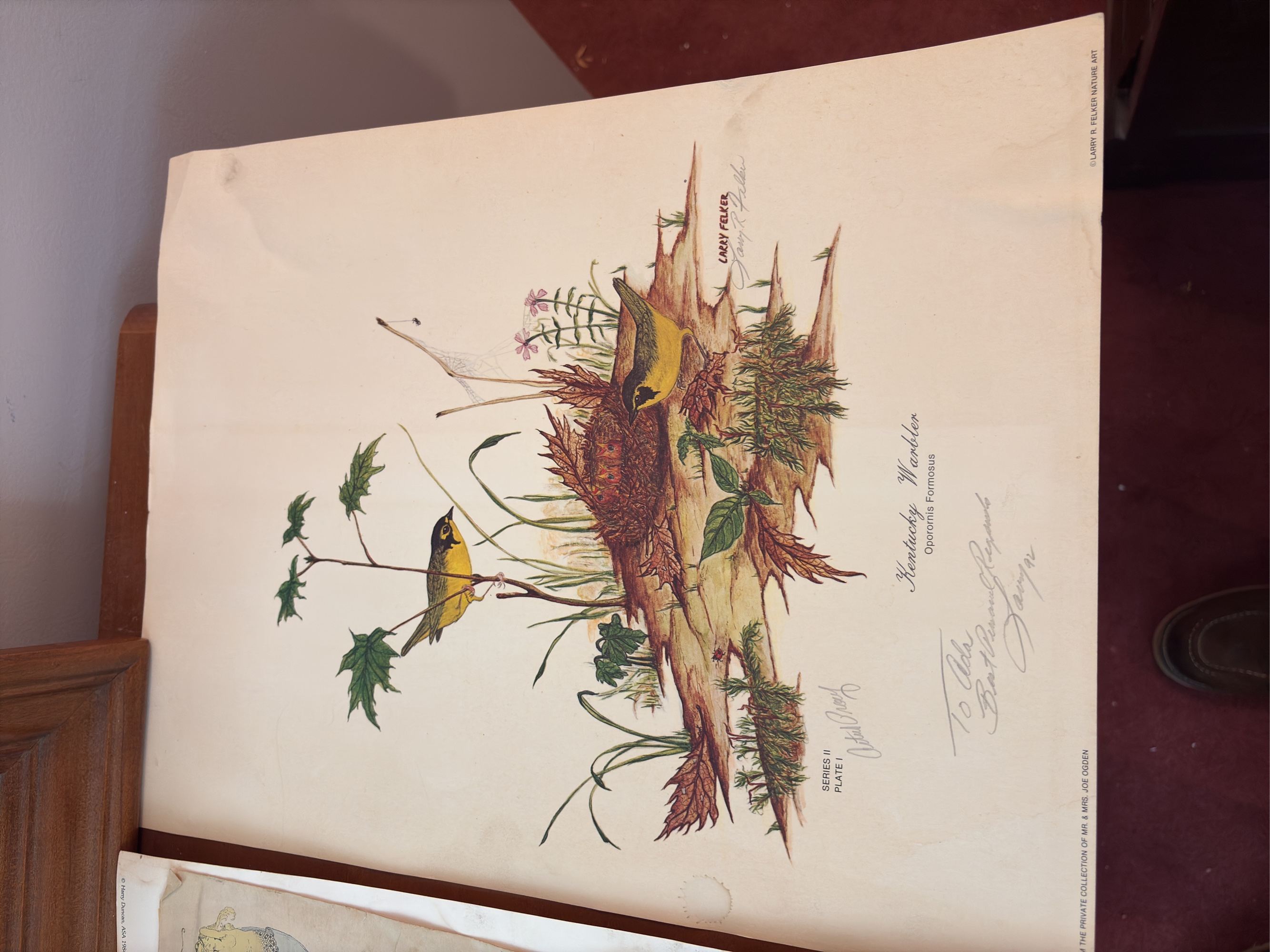 Lot image 4