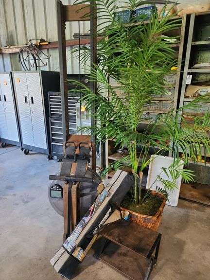 Waterrower Series IV Rowing Machine, Triumph Steel Ladderball Set, Small Plant Stand,and Artificial Tree image