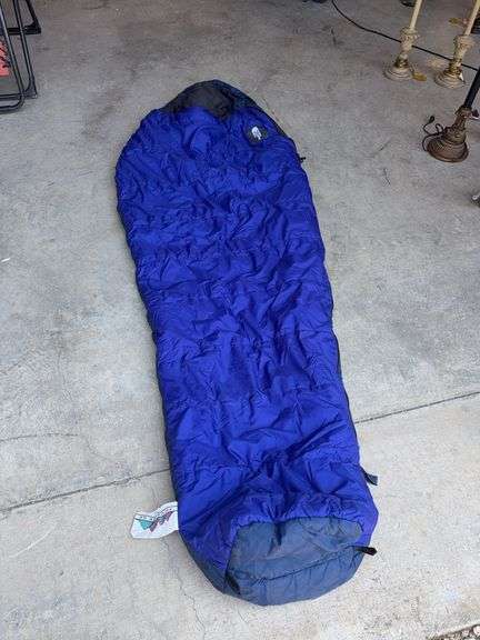 North Face Sleeping Bag image