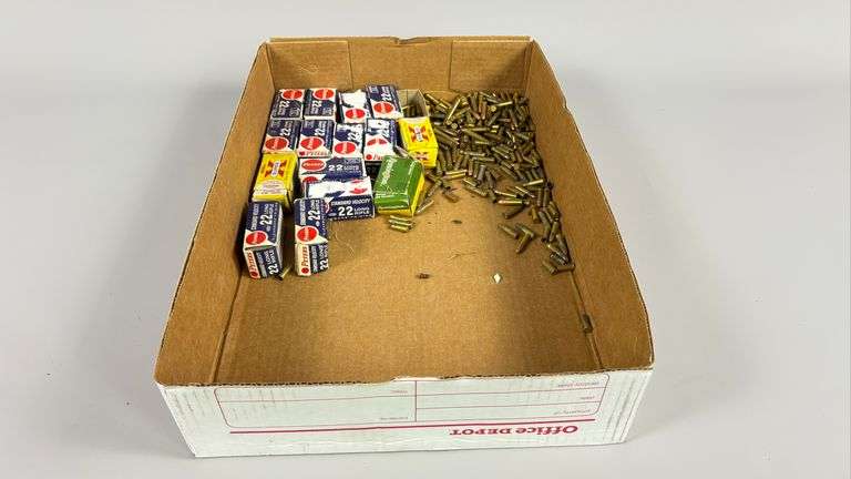 Box Lot of Assorted .22 Rounds - Short, long, magnum, etc image